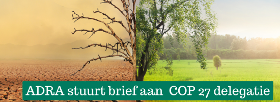 COP27(1).png